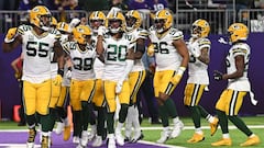 Green Bay derrotó a Minnesota en la Semana 16 de la NFL