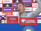 "Estoy llorando con Luis Enrique y el traductor": la escena que es un puro show