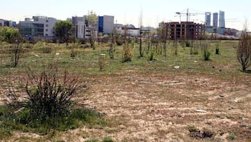 The land in Las Tablas at the centre of the ruling.