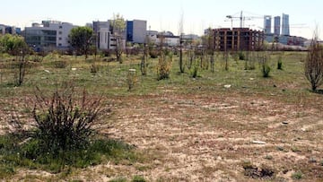 The land in Las Tablas at the centre of the ruling. 