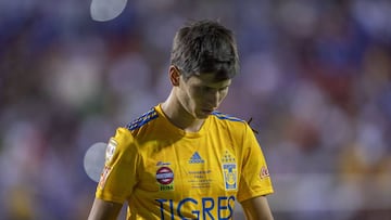 J&uuml;rgen Damm, Tigres