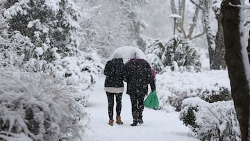 Dos personas caminan por la nieve, a 28 de enero de 2026, en Madrid (España). La Agencia Estatal de Meteorología (Aemet) ha activado el aviso amarillo para hoy por posibles nevadas en la Sierra de Madrid y la zona Metropolitana y Henares, a la par que ha sumado el aviso por fuertes rachas de viento también a la comarca Sur, Vegas y Oeste de la región.
28 ENERO 2026;PIXELADA
Marta Fernández / Europa Press
28/01/2026