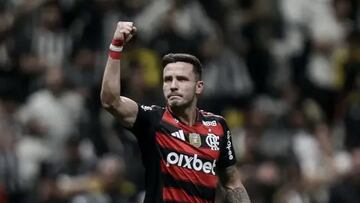 Brasil rompe el mercado