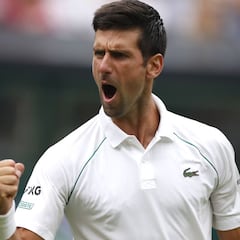 El desconcertante Djokovic