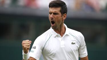 El desconcertante Djokovic