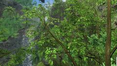 Imágenes de El Matador