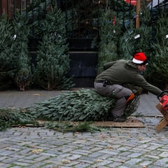 Compró una granja de árboles hace 15 años… y ahora se ha convertido en este precioso paraje navideño para las familias