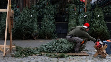 Cuando un terreno olvidado se transforma en la granja donde miles de familias redescubren su Navidad año tras año.
, November 25, 2025. REUTERS/Shannon Stapleton