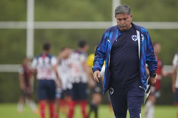 Como futbolista militó en Monterrey y Correcaminos UAT en una carrera que duró poco más de 10 años en el profesionalismo, mientras que como entrenador ha estado incluso en equipos de Centroamérica