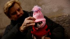 Pilar Monforte adjusts her dog's hat after getting blessed at San Anton Church during celebrations on the feast of Spain's patron saint of animals, Saint Anthony, in Madrid, Spain, January 17, 2024. REUTERS/Susana Vera