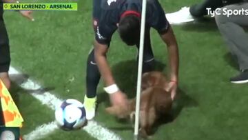 Un perro es el protagonista del duelo entre San Lorenzo y Arsenal