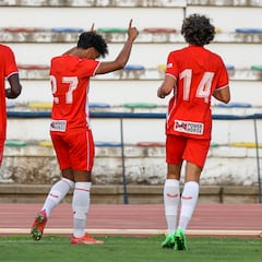 Rojas le da la victoria al Almería