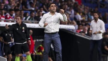 Tras pasar por las categorías inferiores del Espanyol se hizo cargo del primer equipo en verano de 2019. El club perico prescindió de sus servicios en el mes de octubre.