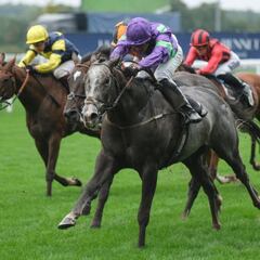 Kabral Du Mathan, nuestro favorito en Ascot a cuotaza de 5.0