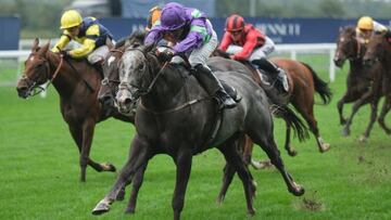 Kabral Du Mathan, nuestro favorito en Ascot a cuotaza de 5.0