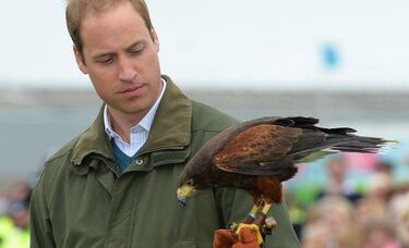 El príncipe Guillermo lanza un Angry Birds solidario