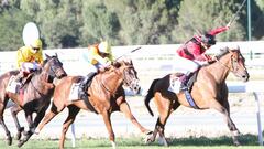 'Tuvalu', el ganador del GP de Madrid, regresa a La Zarzuela