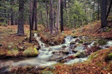 Crónica de mi batalla contra una gran dama