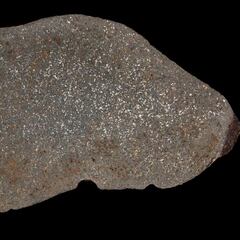 Metal detector beeps for an 18-kilogram stone, prospector thinks it is gold and when he tries to break it open he has to take it immediately to a museum