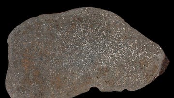 Routine metal detecting trip leads to incredible discovery
