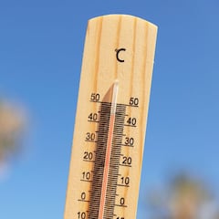 ¿Cómo actuar y remedios para la insolación o golpe de calor?