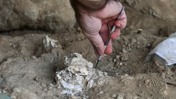 Striking gold on first archaeological dig