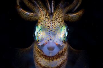 Exploration Photographer Of The Year: Tercer premio.
