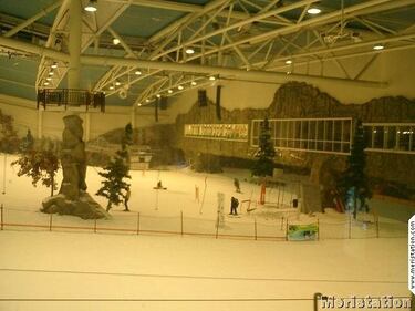 Surfeando en la presentación de SSX3