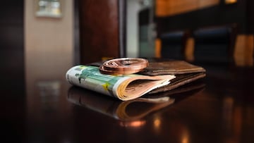 Cartera con dinero