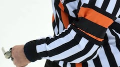 Ice hockey referee dies after being hit in the head by puck