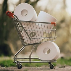 El truco para ahorrar papel higiénico