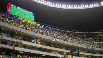 El &aacute;rbitro inici&oacute; el protocolo por el grito homof&oacute;bico, pero nunca detuvo el partido a pesar de que fue reiterado el grito.