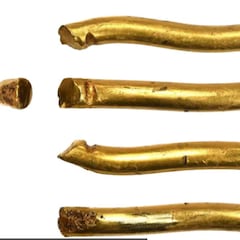 Encuentran una pepita de oro en medio de un campo, que resulta ser un tesoro medieval