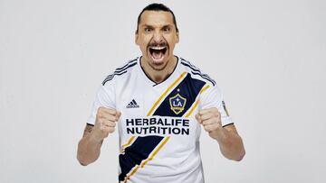 Ibrahimovic: LA Galaxy signing given hero's welcome