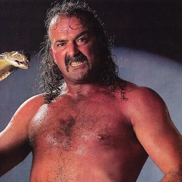 El luchador americano Jake ‘The Snake’ Roberts y miembro del Salón de la Fama de la WWE en su paso por la AAA entabló una rivalidad con Konnan, a quién se enfrentó en Triplemanía 2 C y vió caer su cabellera.
