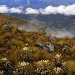 El glaciar de El Cocuy desaparecerá en dos años: motivos y así lo despidieron