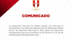 Succar y Valera, convocados de última hora en la Selección