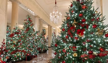 Descubre el verdadero origen del árbol de Navidad y cómo se adoptó en México