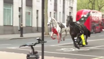 Four people were taken to the hospital after two military horses got loose and ran through central London, causing chaos on the streets.