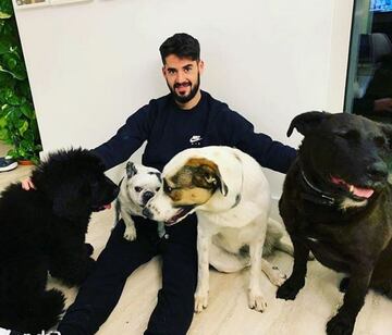 El mediocampista del Real Madrid cuenta con cuatro perros en la familia