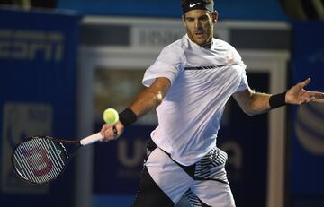 Uno de los más queridos por la afición mexicana. Juan Martín del Potro regresa al Abierto Mexicano de Tenis como el 10 del mundo. Dentro de sus 20 títulos de ATP está el Abierto de Estados Unidos, en donde se coronó en 2009.