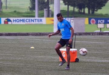 El equipo argentino hizo un trabajo regenerativo en la cancha principal de la Federación Colombia de Fútbol. Villa y Fabra, los dos colombianos presentes. 