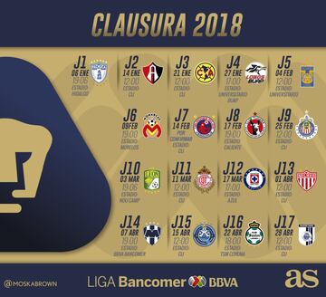 Checa el calendario de los 18 equipos de la Liga MX