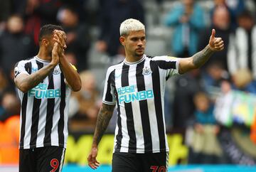 Newcastle are on the verge of Champions League football after a fantastic season.