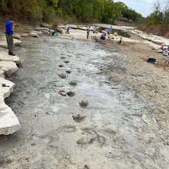 La sequía revela las huellas de dinosaurios que vivieron hace 113 millones de años