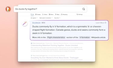 El buscador de DuckDuckGo también quiere trabajar con ChatGPT