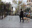 Sancionan a una mujer por pasear al perro de madrugada que alegó tener "jet lag"