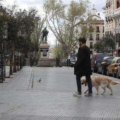 Sancionan a una mujer por pasear al perro de madrugada que alegó tener "jet lag"