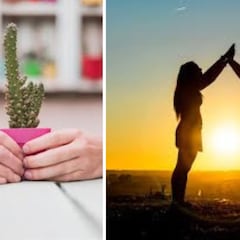 Qué significa ser una amiga cactus y por qué es la mejor amistad que podrías tener