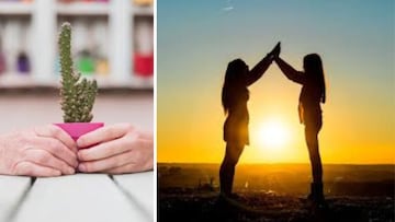 Una amistad cactus significa fortaleza, paciencia y profunda conexión: el tiempo nunca pasa.